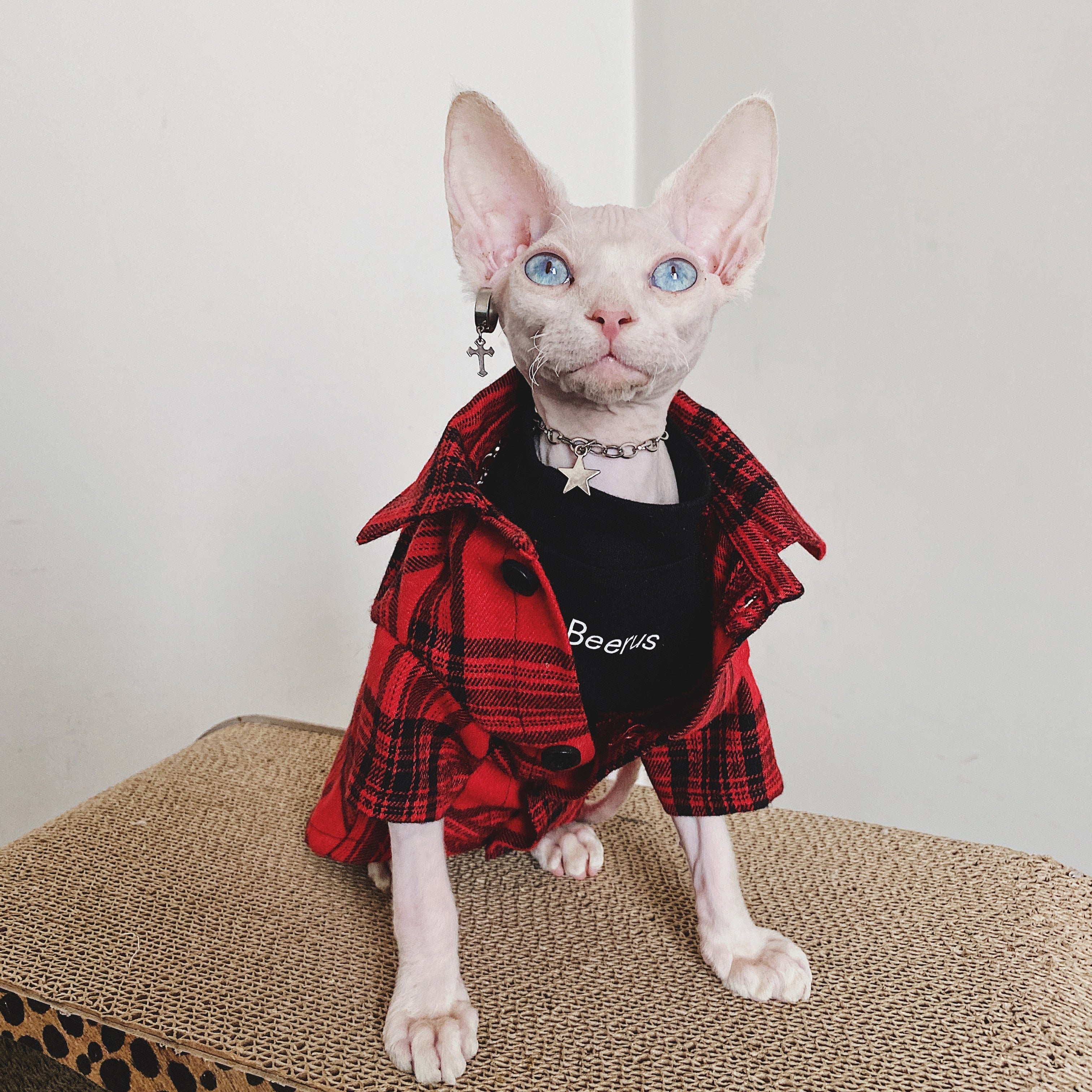 Flannel Shirt for Cat - Shirts for Cats