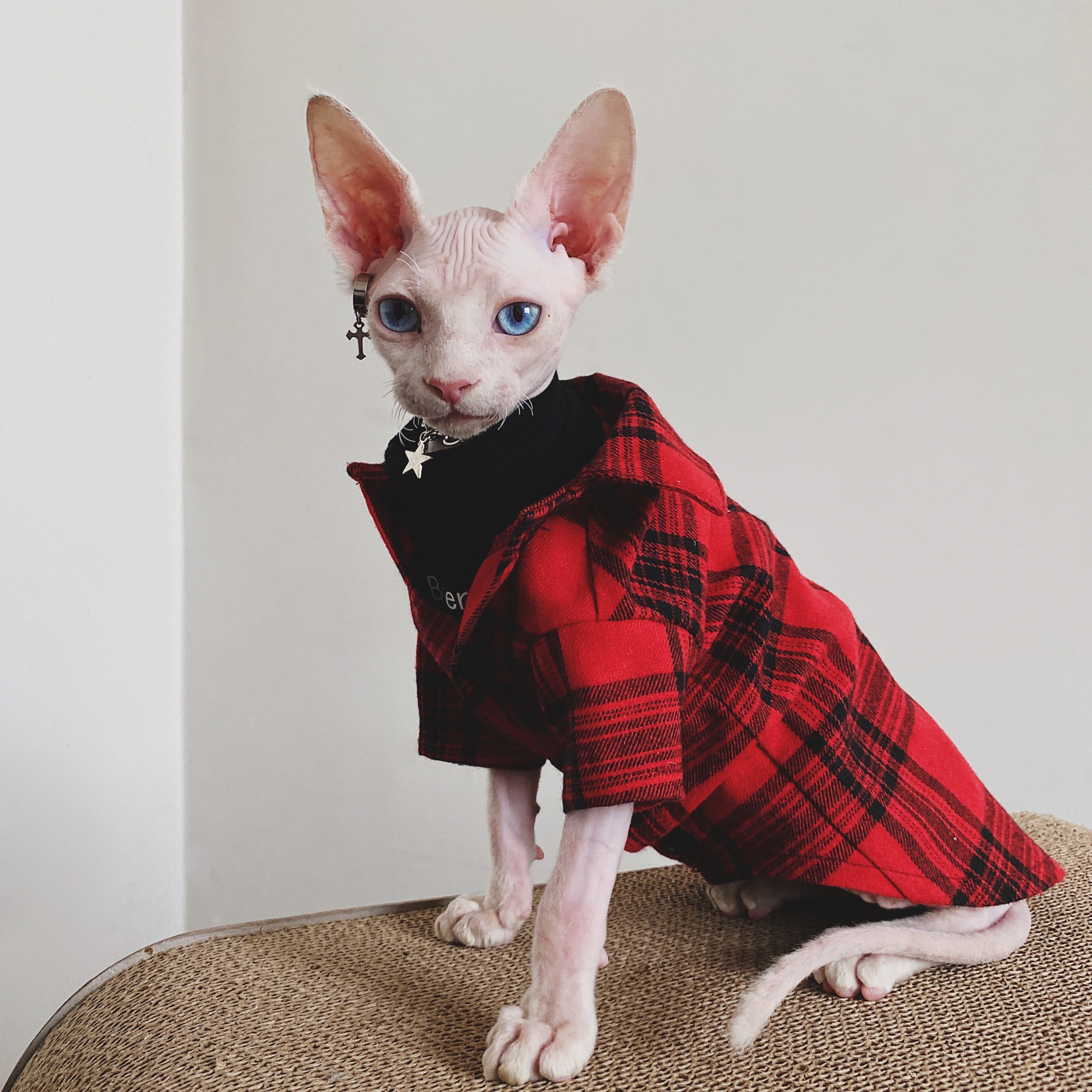 Flannel Shirt for Cat - Shirts for Cats