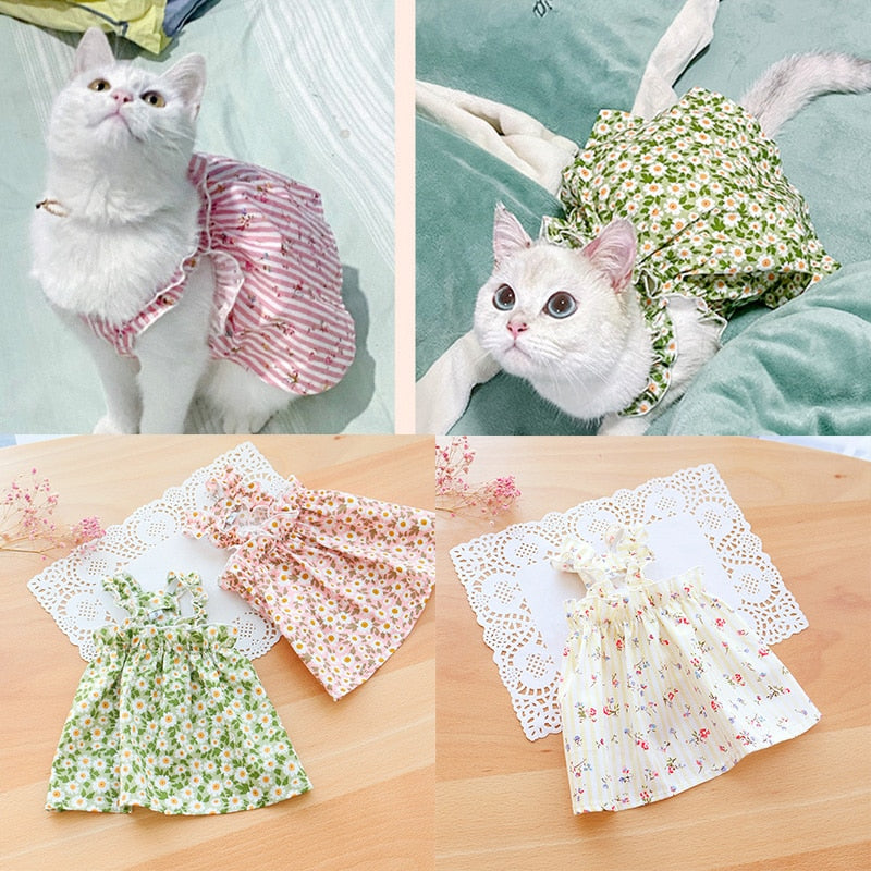 Floral Cat Clothes - Clothes for cats