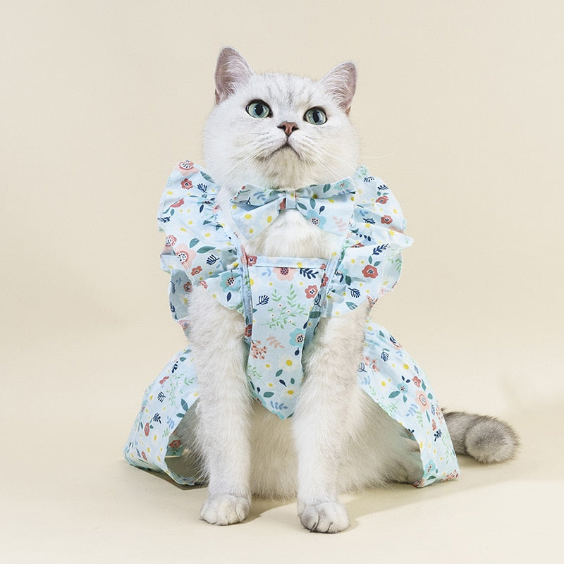 Floral Cat Dress - Blue / XS