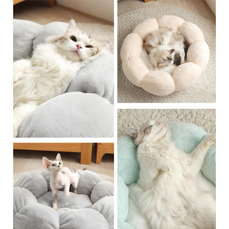 Flower Cat Bed