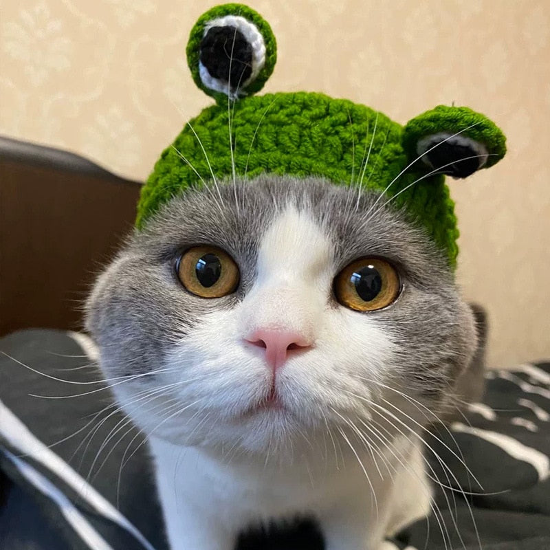 Frog Costume for Cat