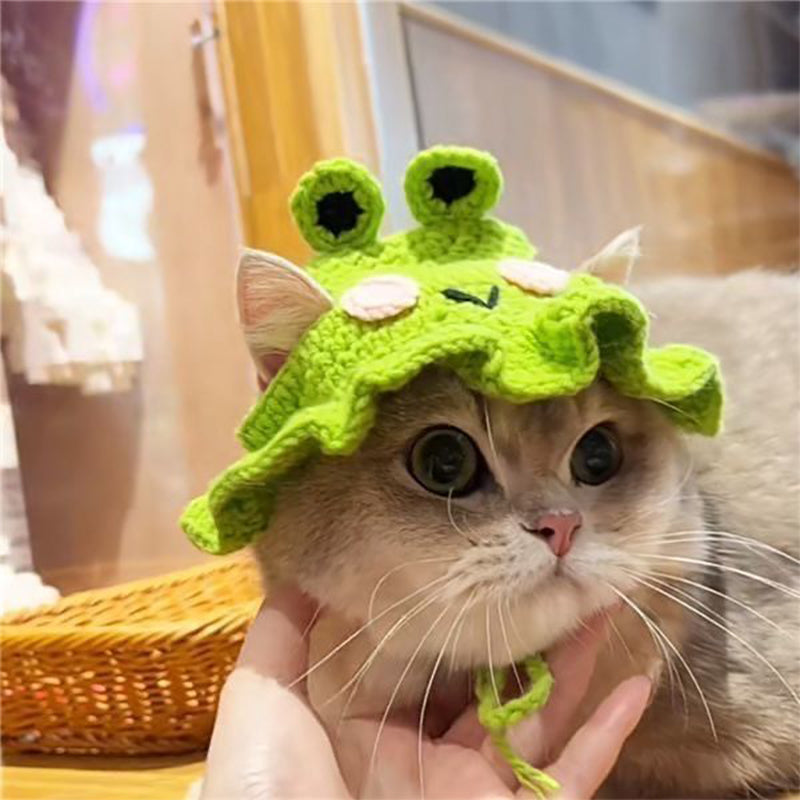 Frog winter hat for cat