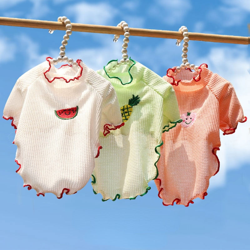 Fruit Clothes for Cats - Clothes for cats