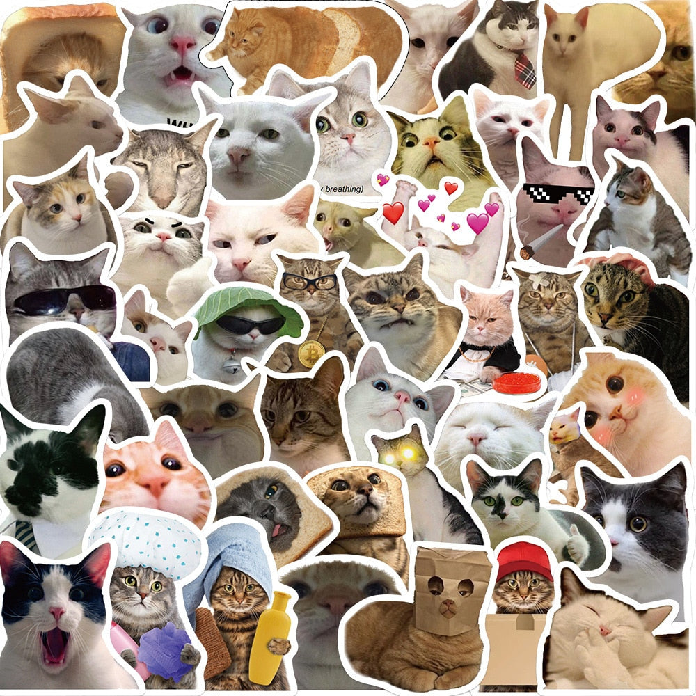 Funny Cat Stickers