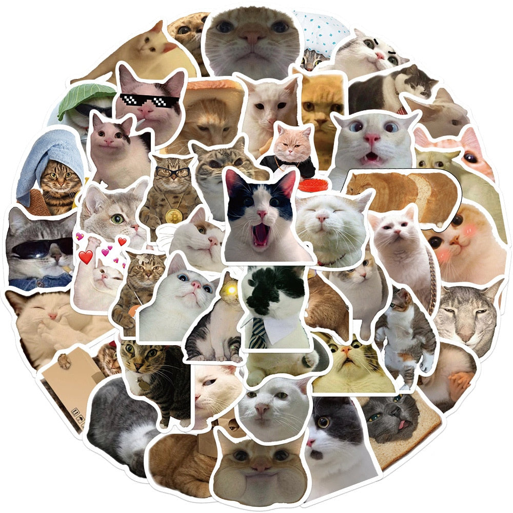 Funny Cat Stickers