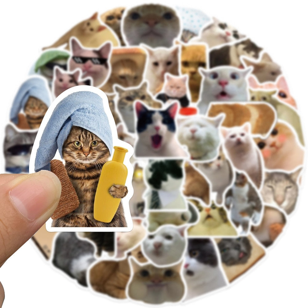 Funny Cat Stickers