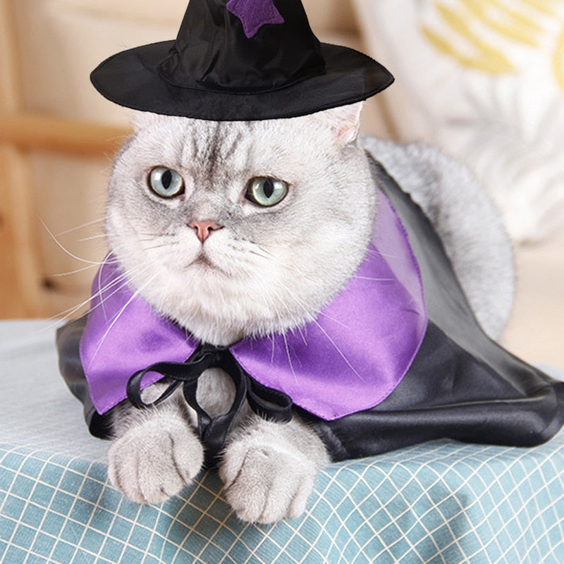 Ghost Costume for Cat