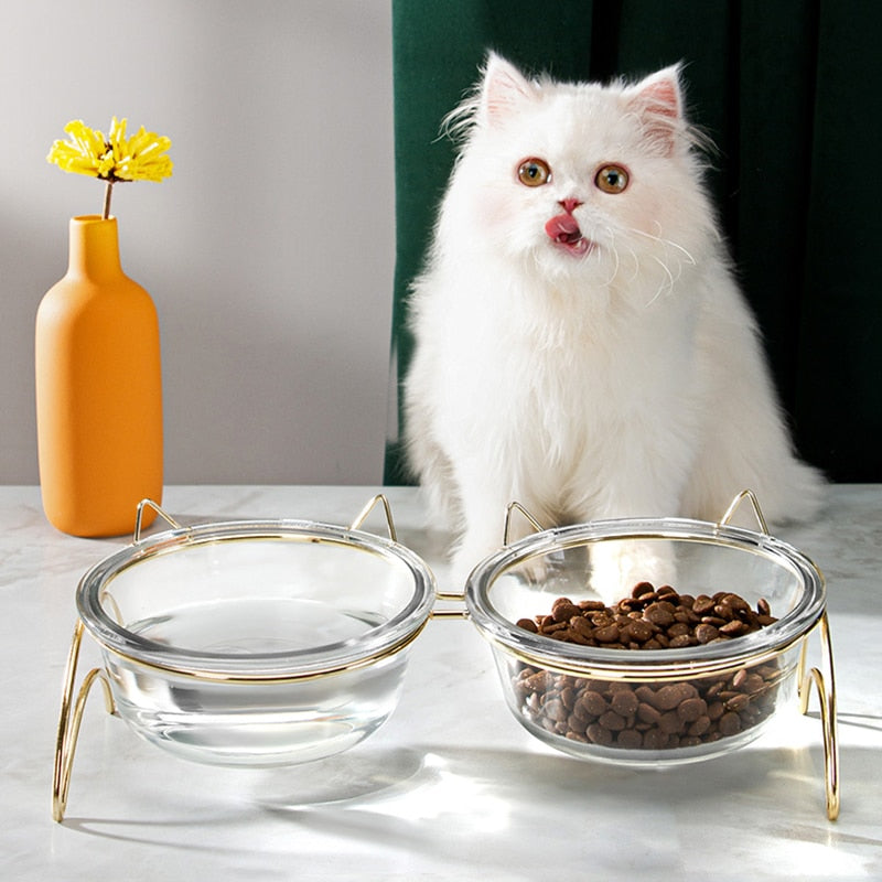 Glass Bowls for Cats - Cat Bowls
