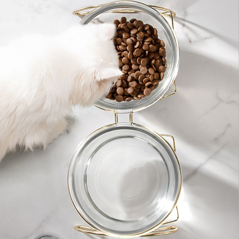 Glass Bowls for Cats - Cat Bowls