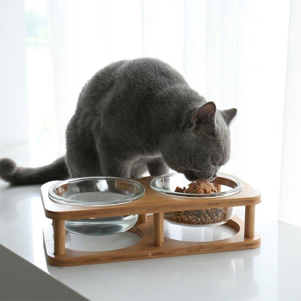 Glass Cat Bowls - Cat Bowls