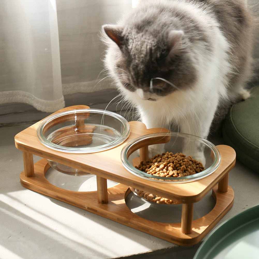 Glass Cat Bowls - Cat Bowls