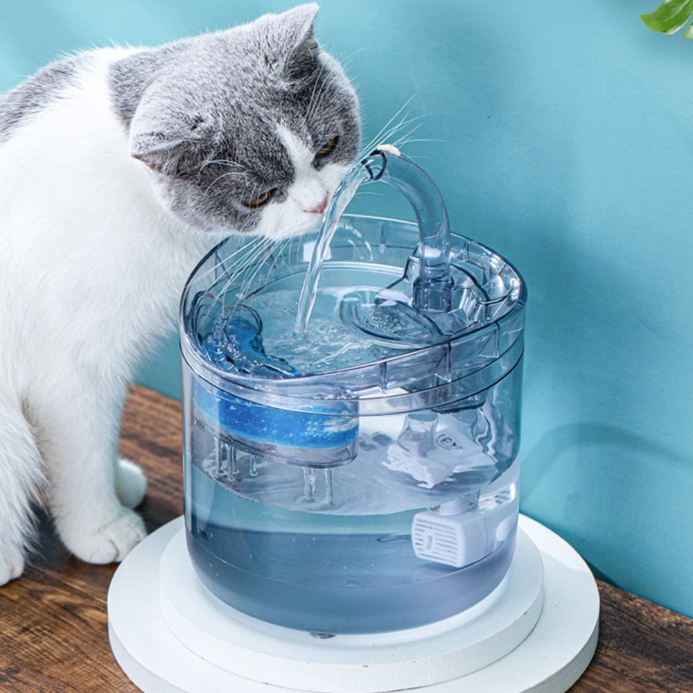 Glass Cat Water Fountain - Cat water fountain