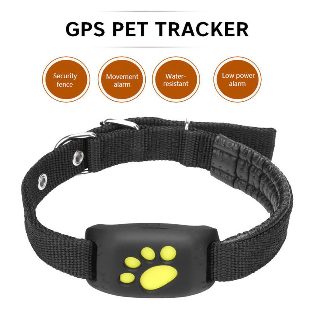 GPS Cat Collars - Cat collars