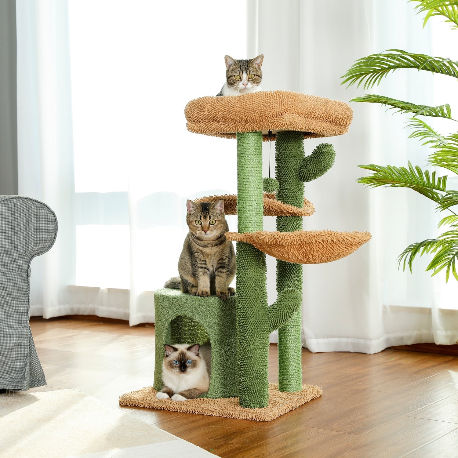 Green Cat Tree