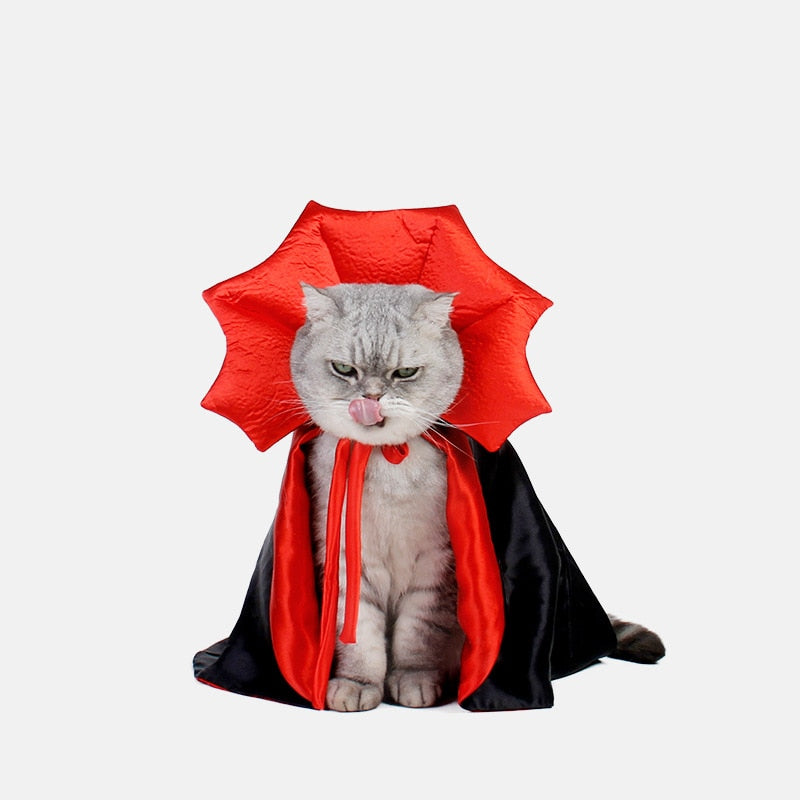 Halloween Costume for Cats