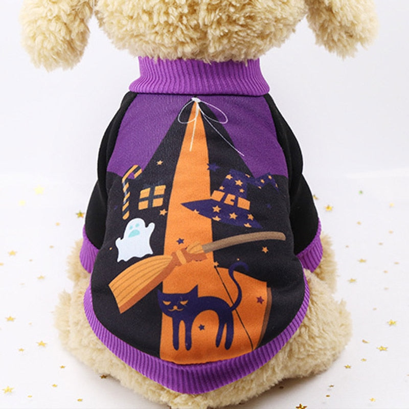 Halloween Costumes for Cat - Witch / XS