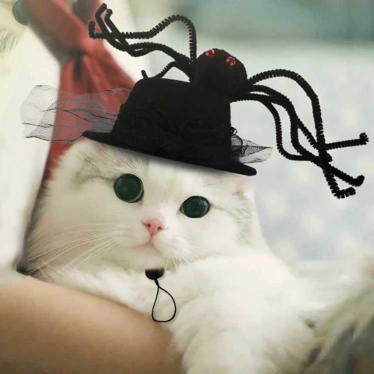 Halloween Hats for Cats – Meowden®