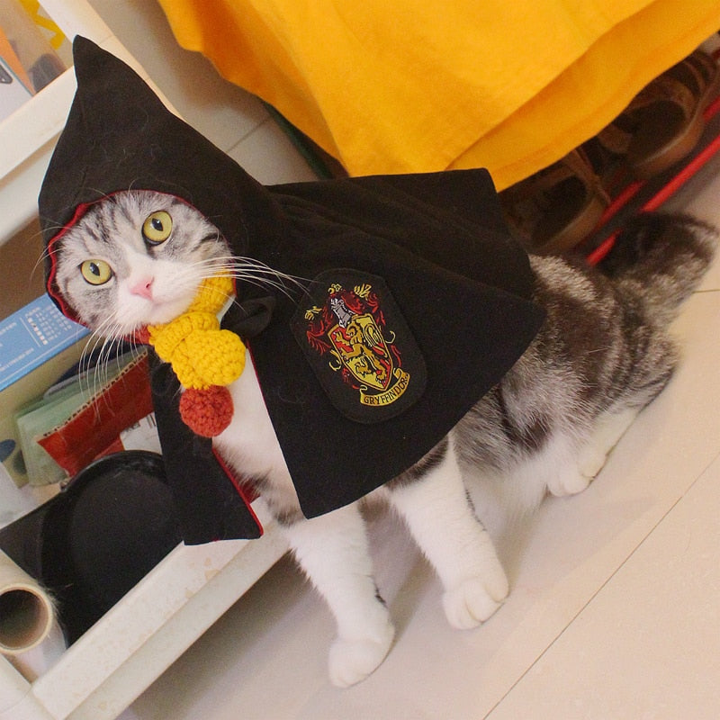 Harry Potter Costume for Cats