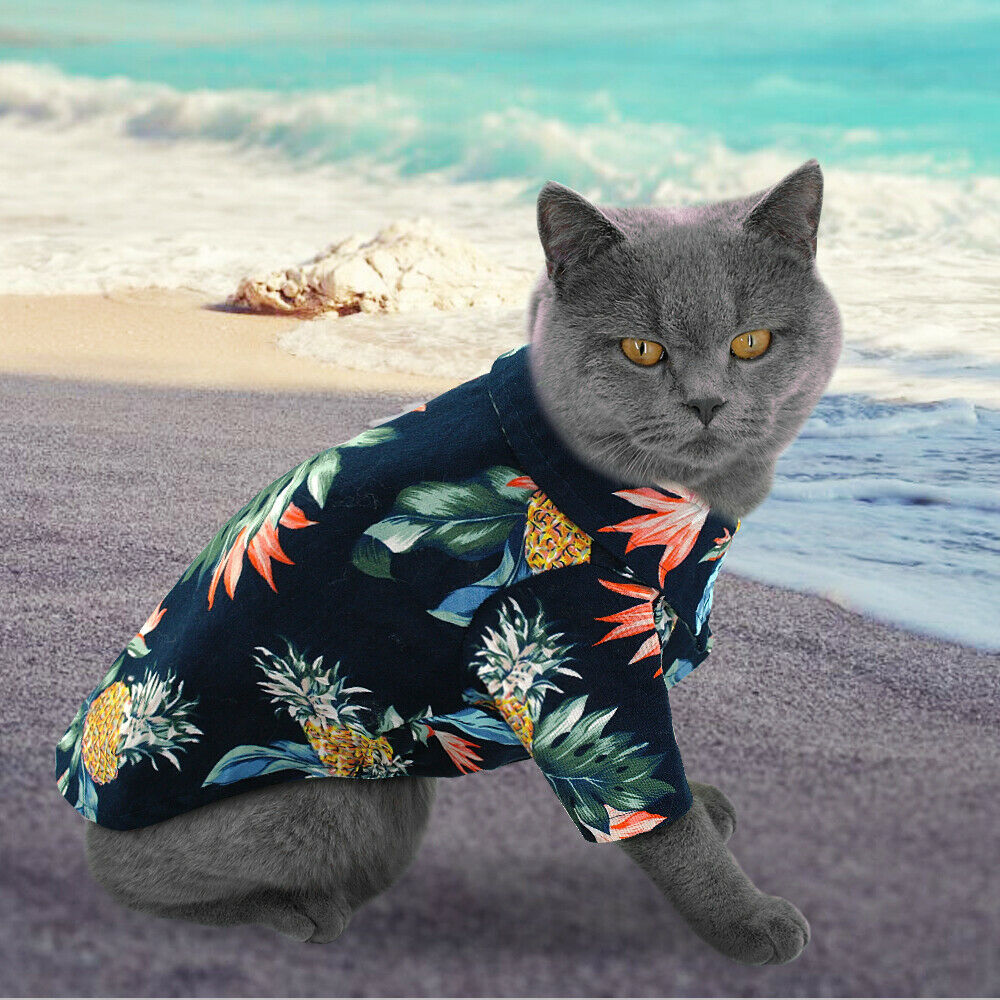 Hawaiian Clothes for Cats - Clothes for cats