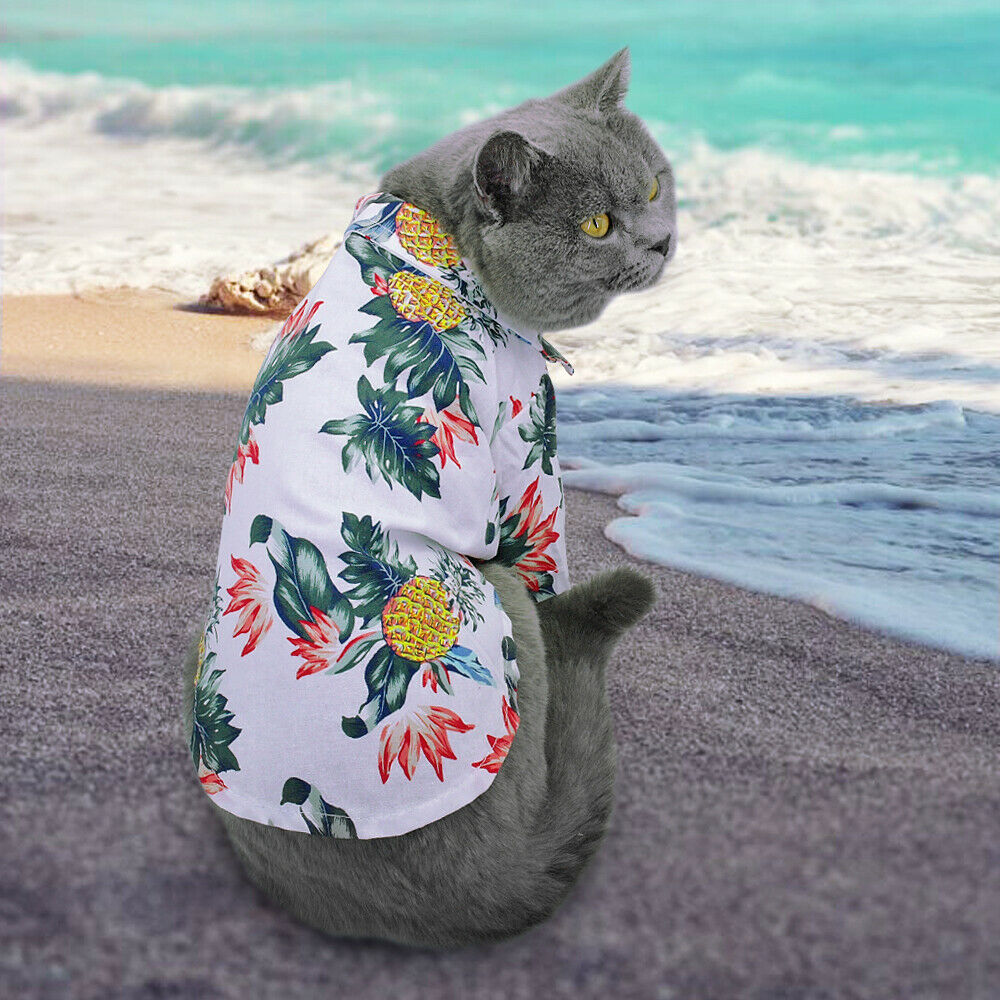 Hawaiian Clothes for Cats - Clothes for cats