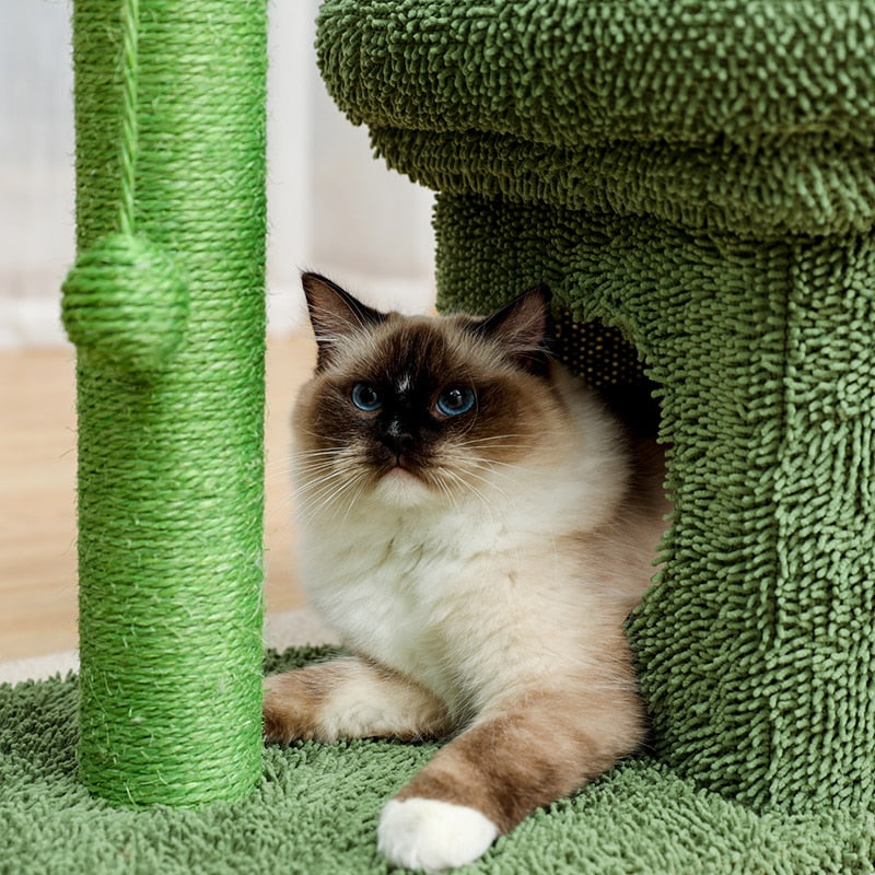 Indestructible Cat Scratching Post - Cat scratching post