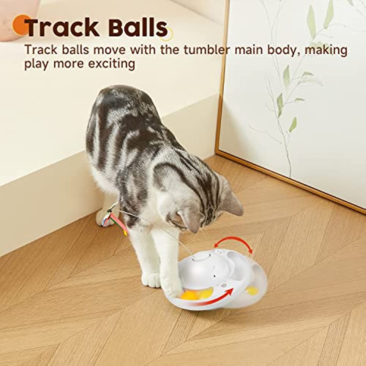 Indoor Exercise Cat Toy - Cat Toys