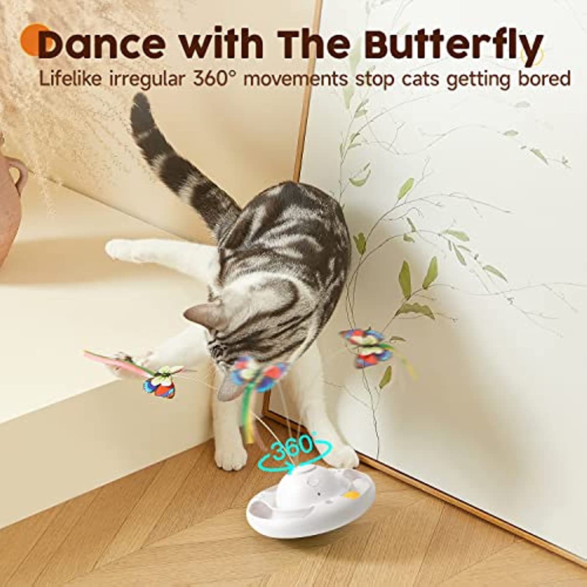 Indoor Exercise Cat Toy - Cat Toys