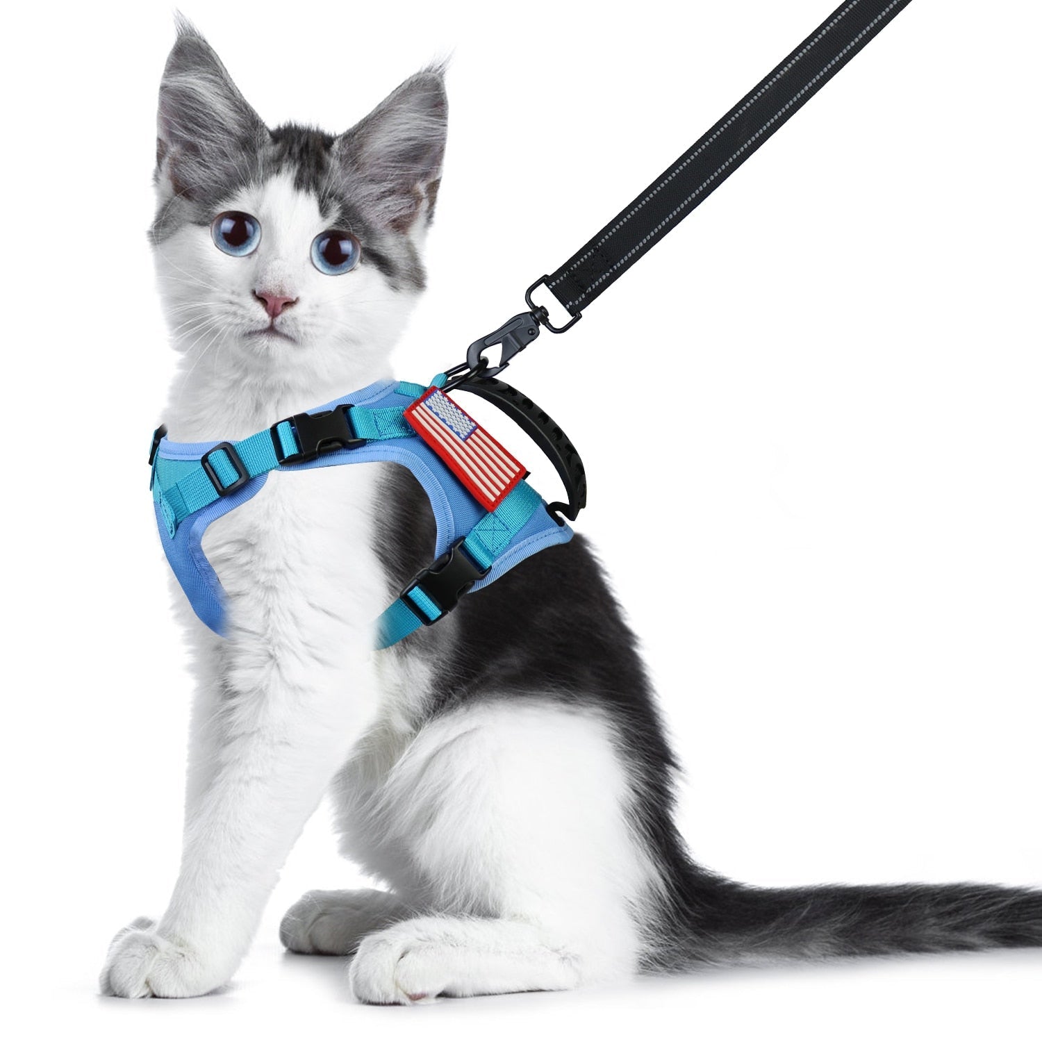 Jacket Harness for Cats - Blue / L - cat harness leash