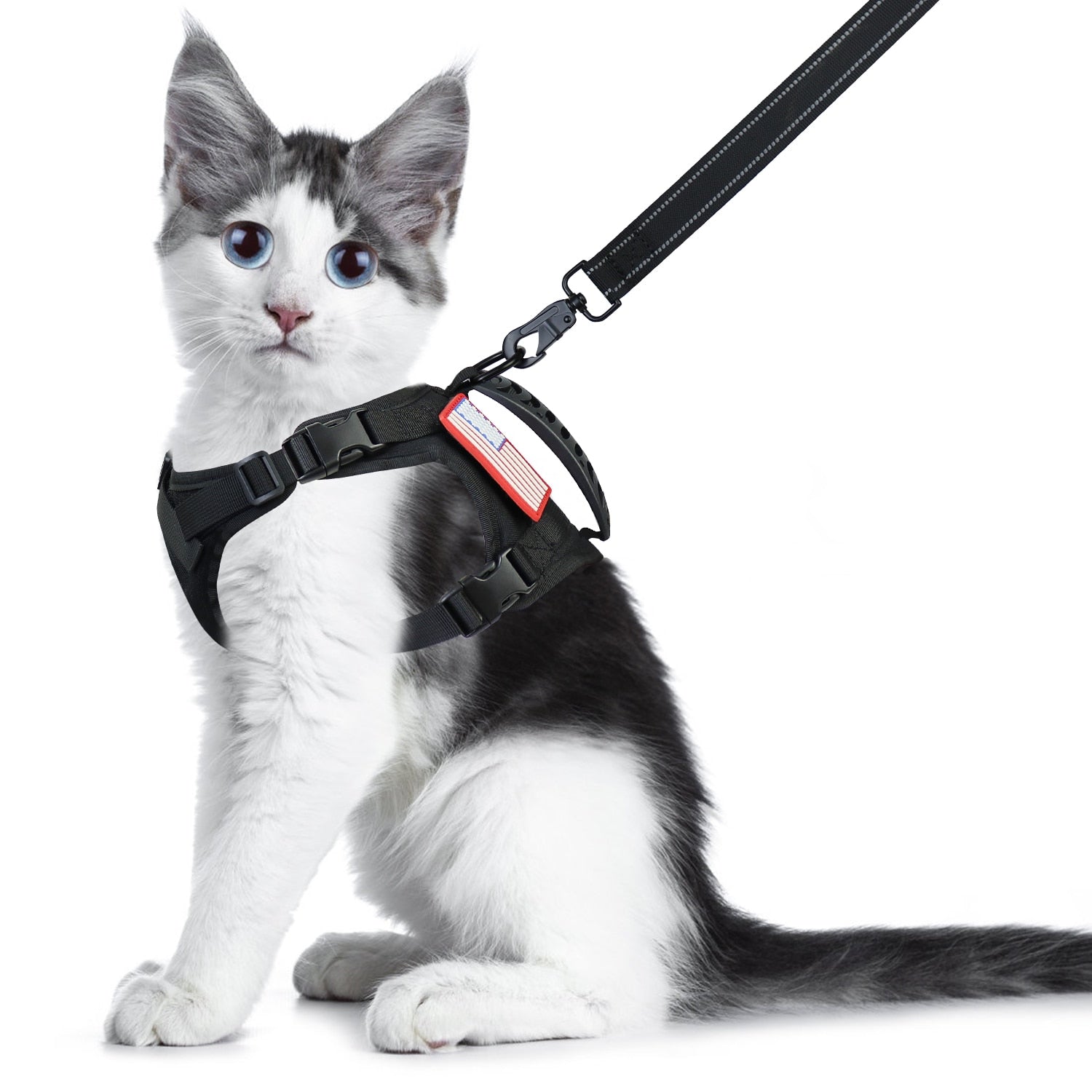 Jacket Harness for Cats - Black / L - cat harness leash