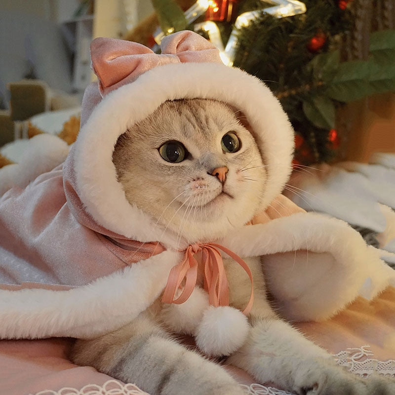 Kitten Costume for Cats