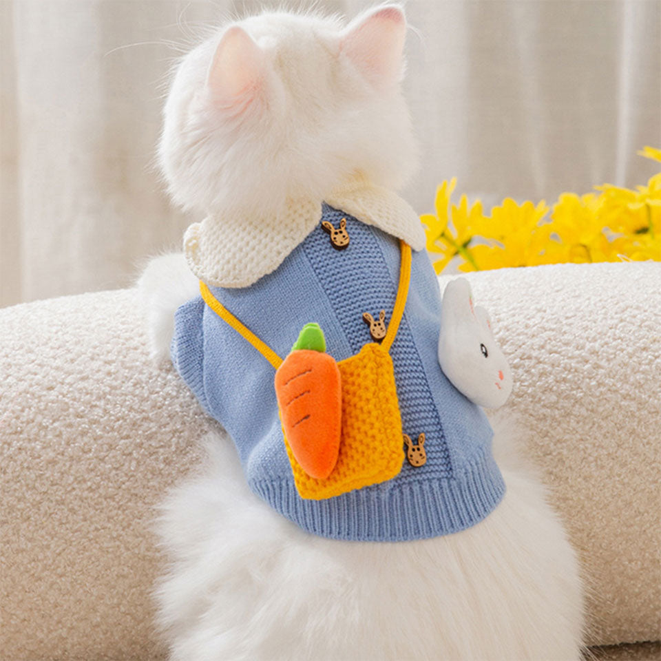 Knitted Clothes for Cats - Clothes for cats