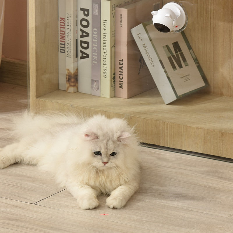 Laser Cat Toy - Cat Toys