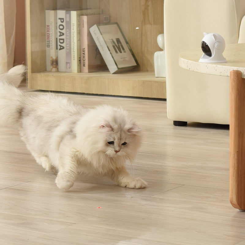 Laser Cat Toy - Cat Toys