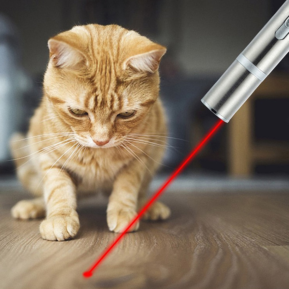 Laser Pointer Pen Cat Toy - Cat Toys
