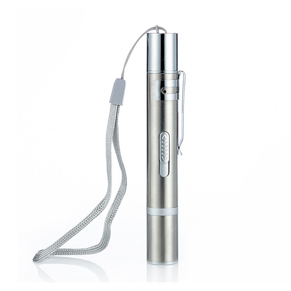 Laser Pointer Pen Cat Toy - Cat Toys