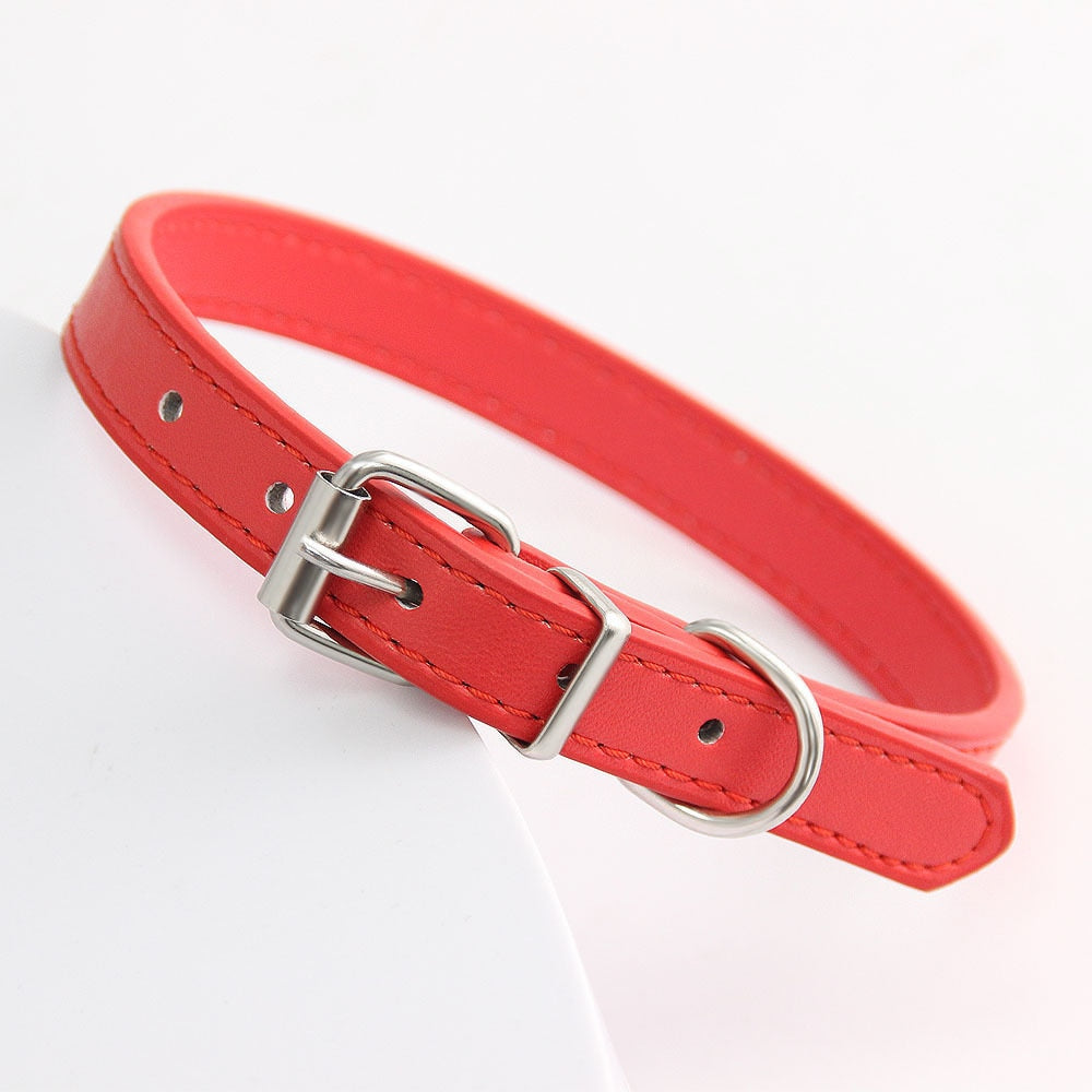 Leather Cat Collars - Cat collars