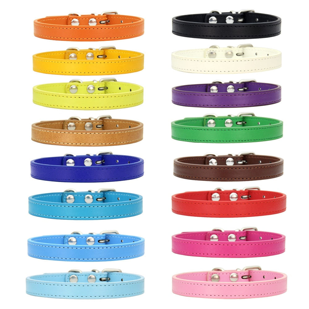 Leather Cat Collars - Cat collars