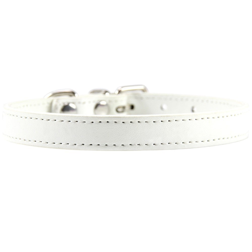 Leather Cat Collars - White / XS - Cat collars