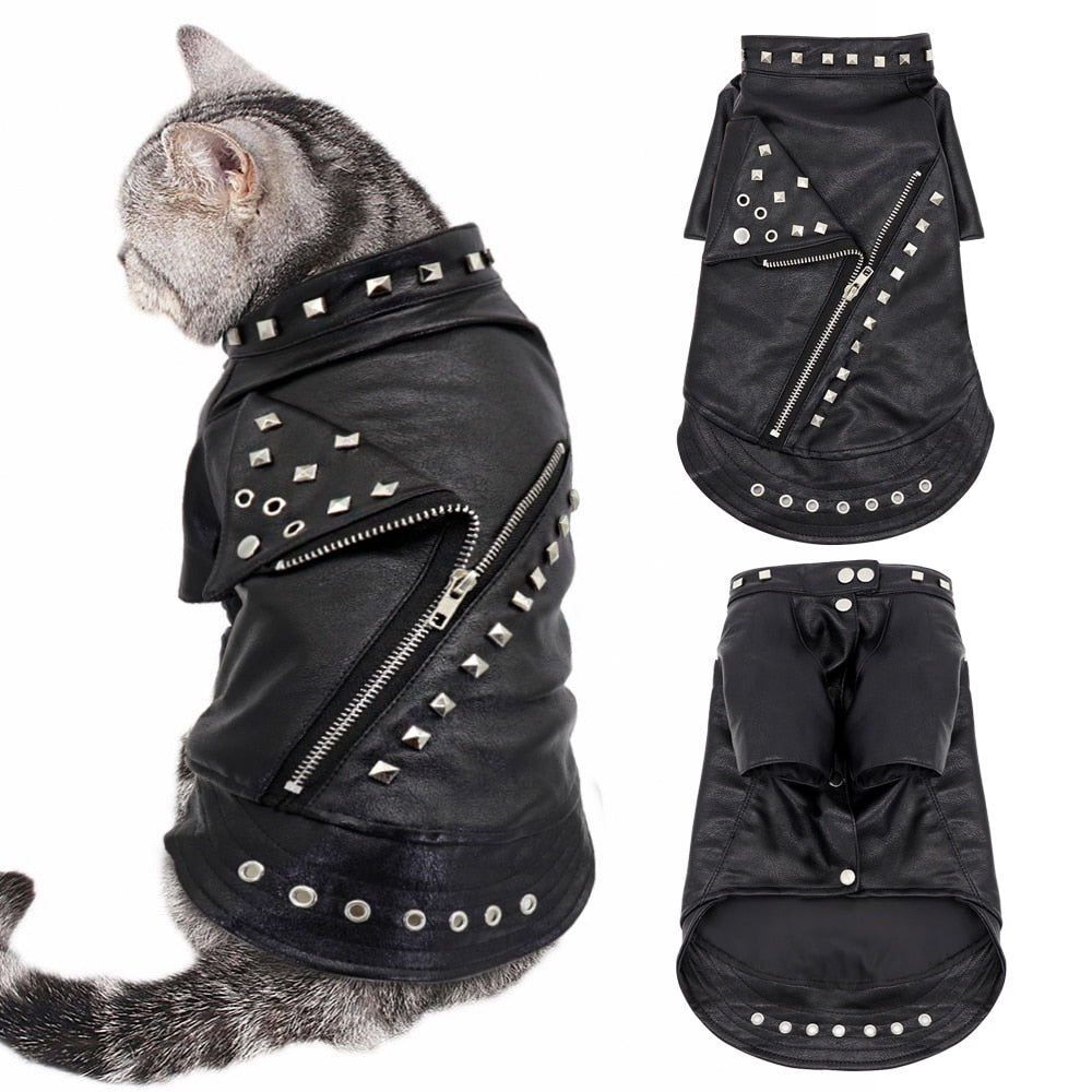 Leather Jacket Clothes for Cat - Clothes for cats