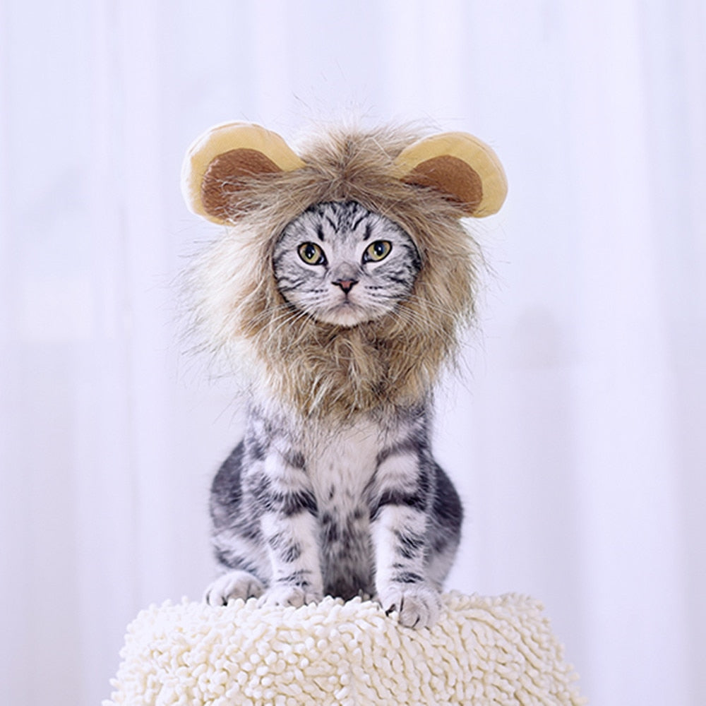 Lion Hat for Cat - Hat for Cats