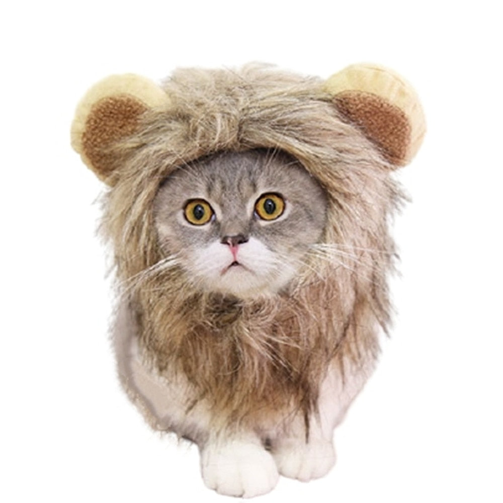 Lion Hat for Cat