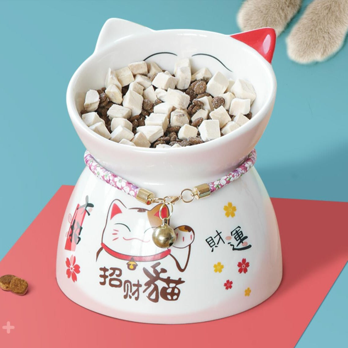 Lucky Cat Bowl - Cat Bowls