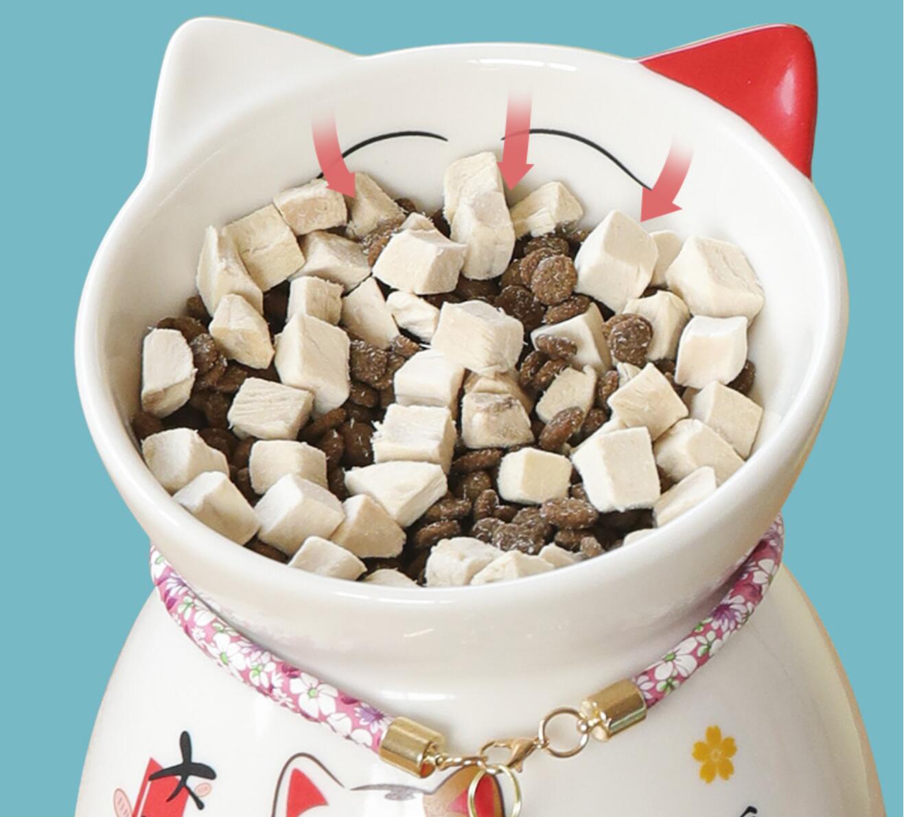 Lucky Cat Bowl - Cat Bowls