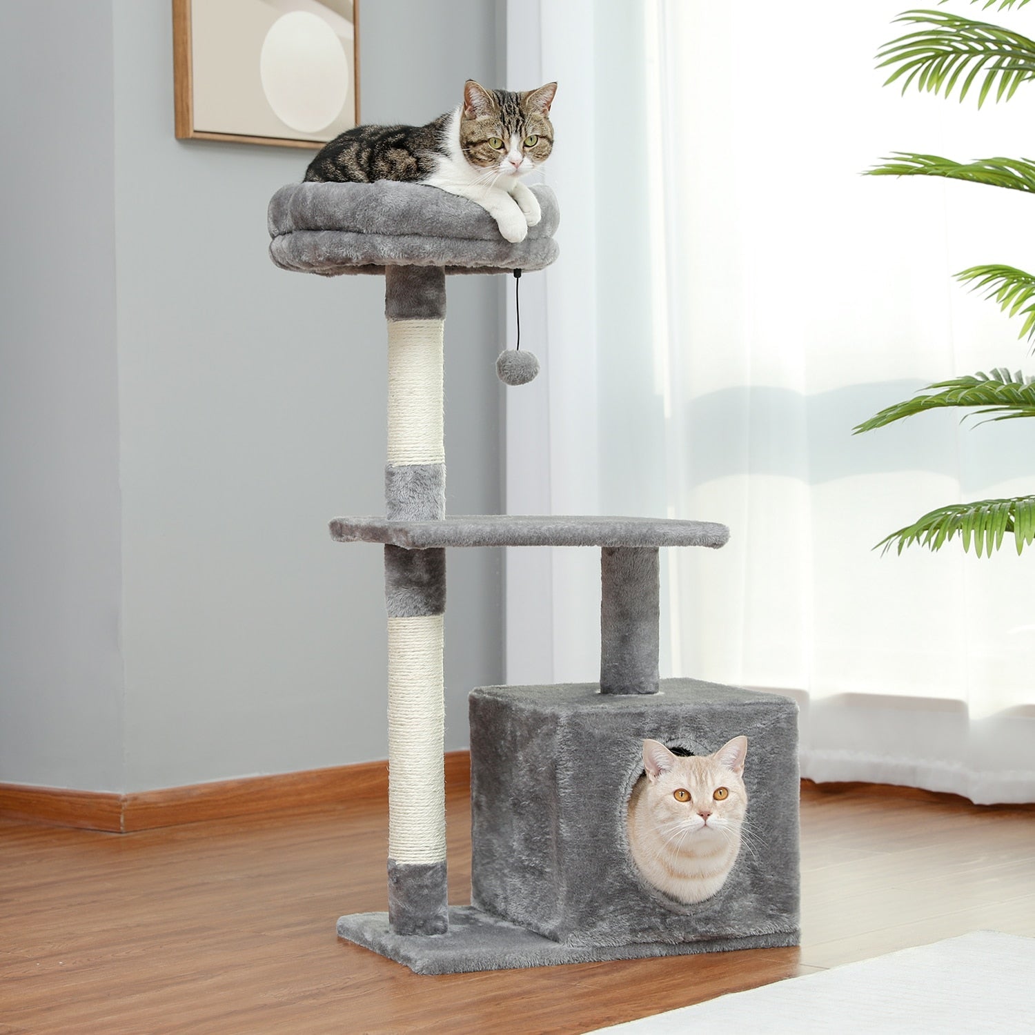 Luxury Cat Scratching Post - Cat scratching post