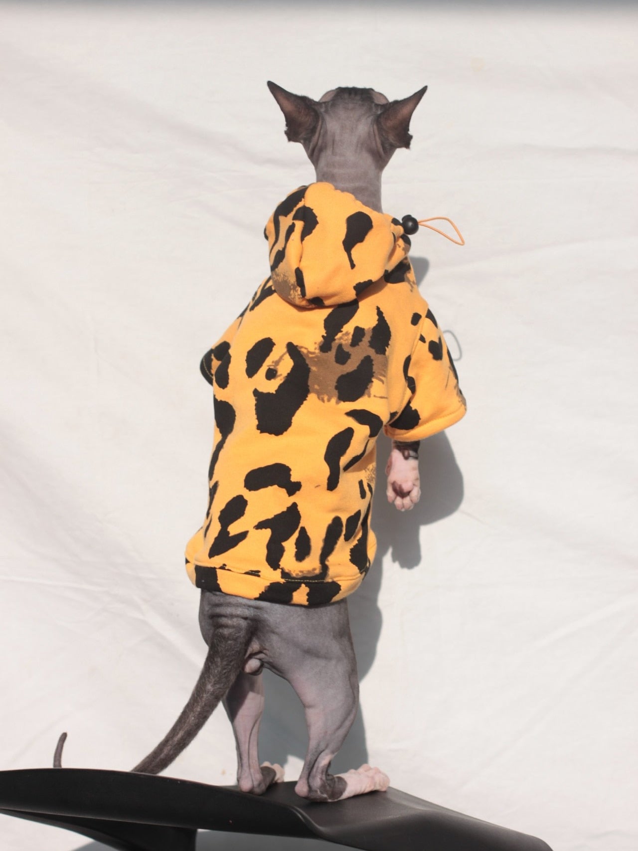 Luxury Clothes for Cats - Orange / M - Clothes for cats