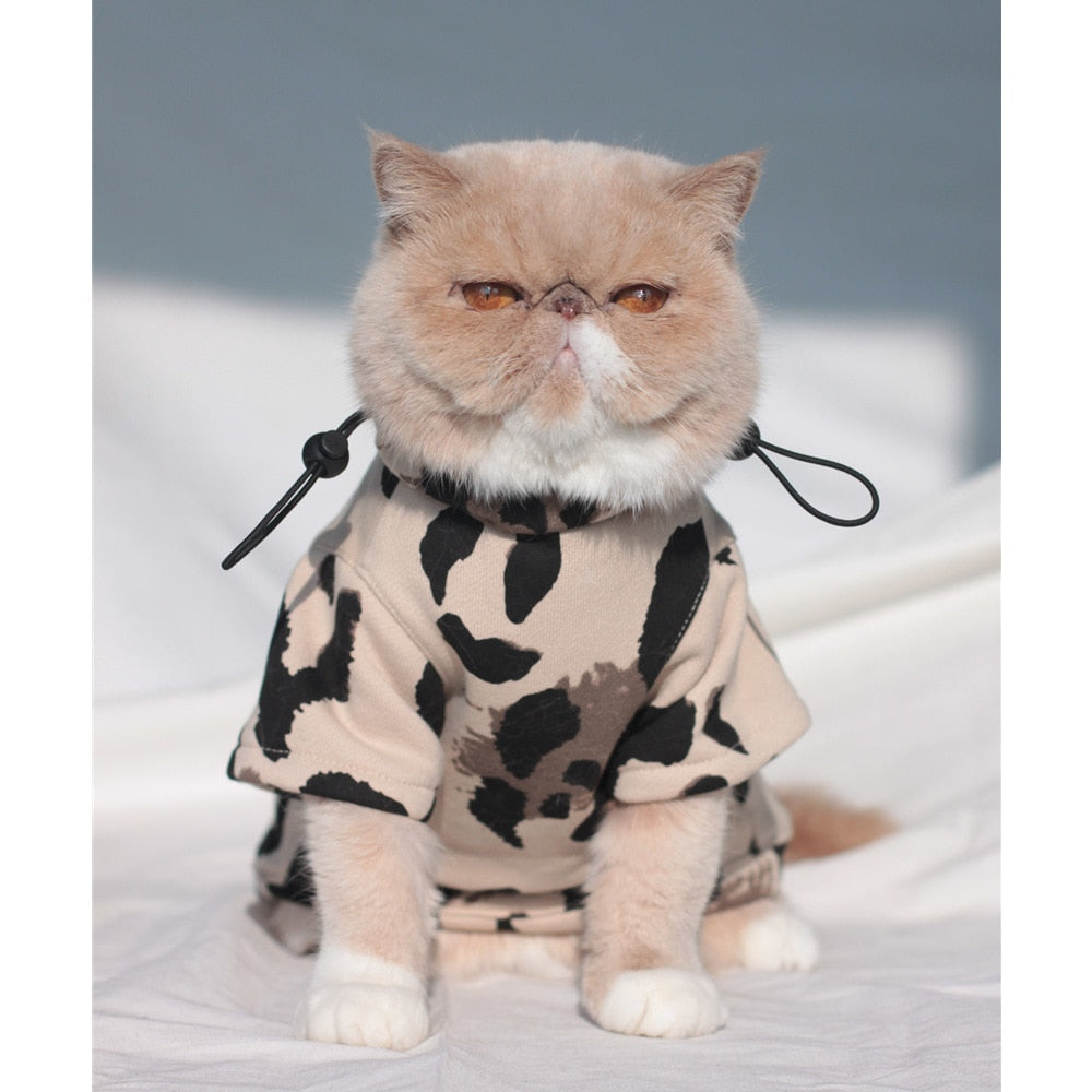 Luxury Clothes for Cats - Clothes for cats