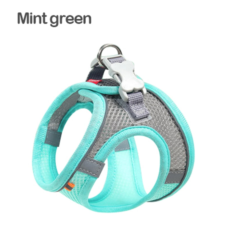 Mesh Cat Harness - Green / XXS