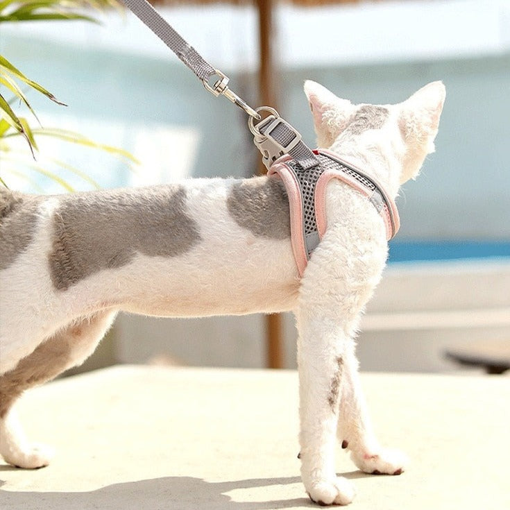 Mesh Cat Harness