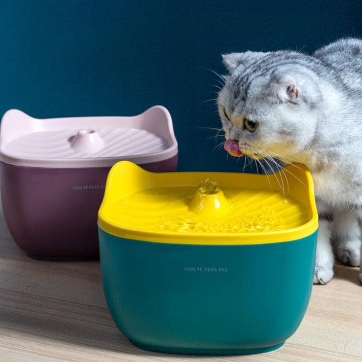 Non Electric Cat Water Fountain - Cat water fountain